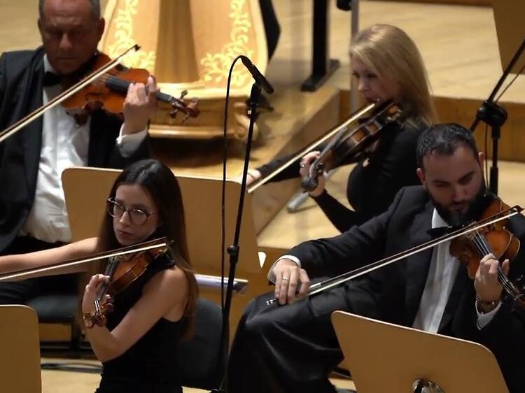 Tu Familia es una Orquesta