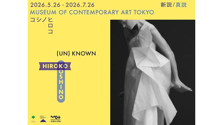(UN)KNOWN HIROKO KOSHINO―新説/真説 コシノヒロコ―
