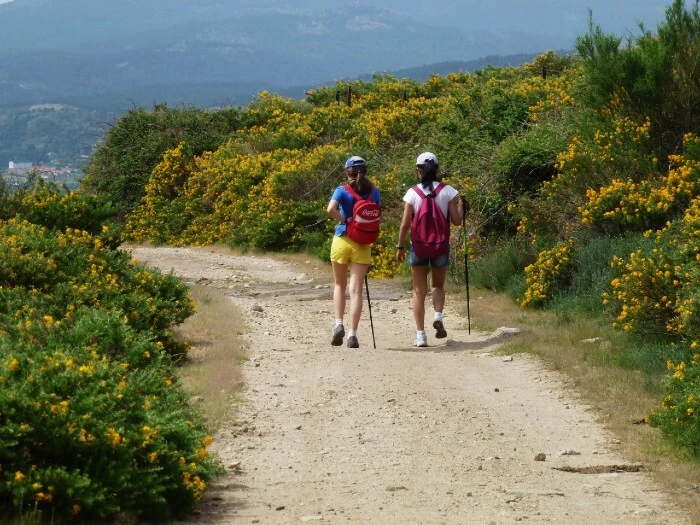 Festival del Cambro&ntilde;o. Sierra de Guadarrama