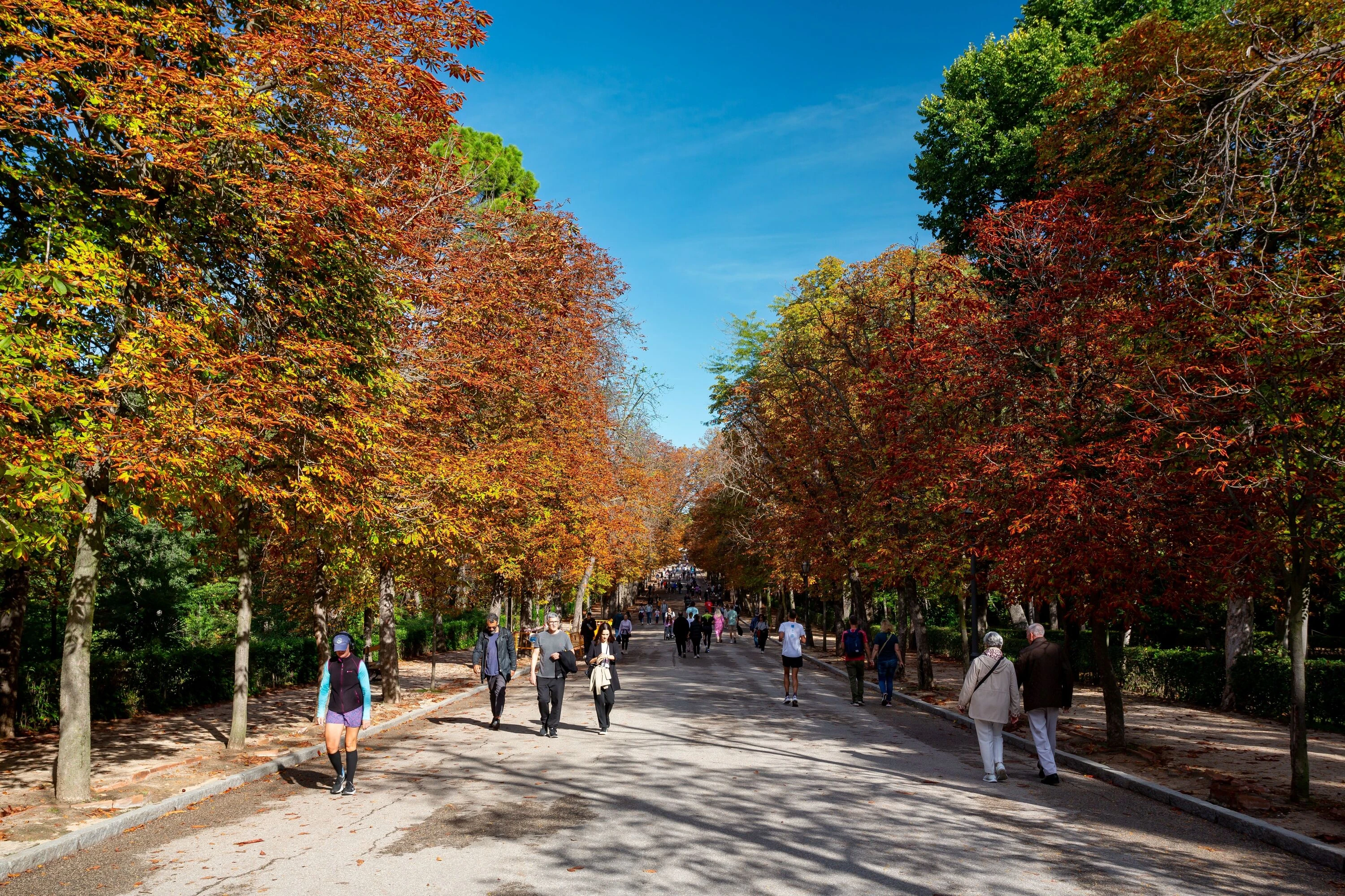 El Retiro. Shutterstock