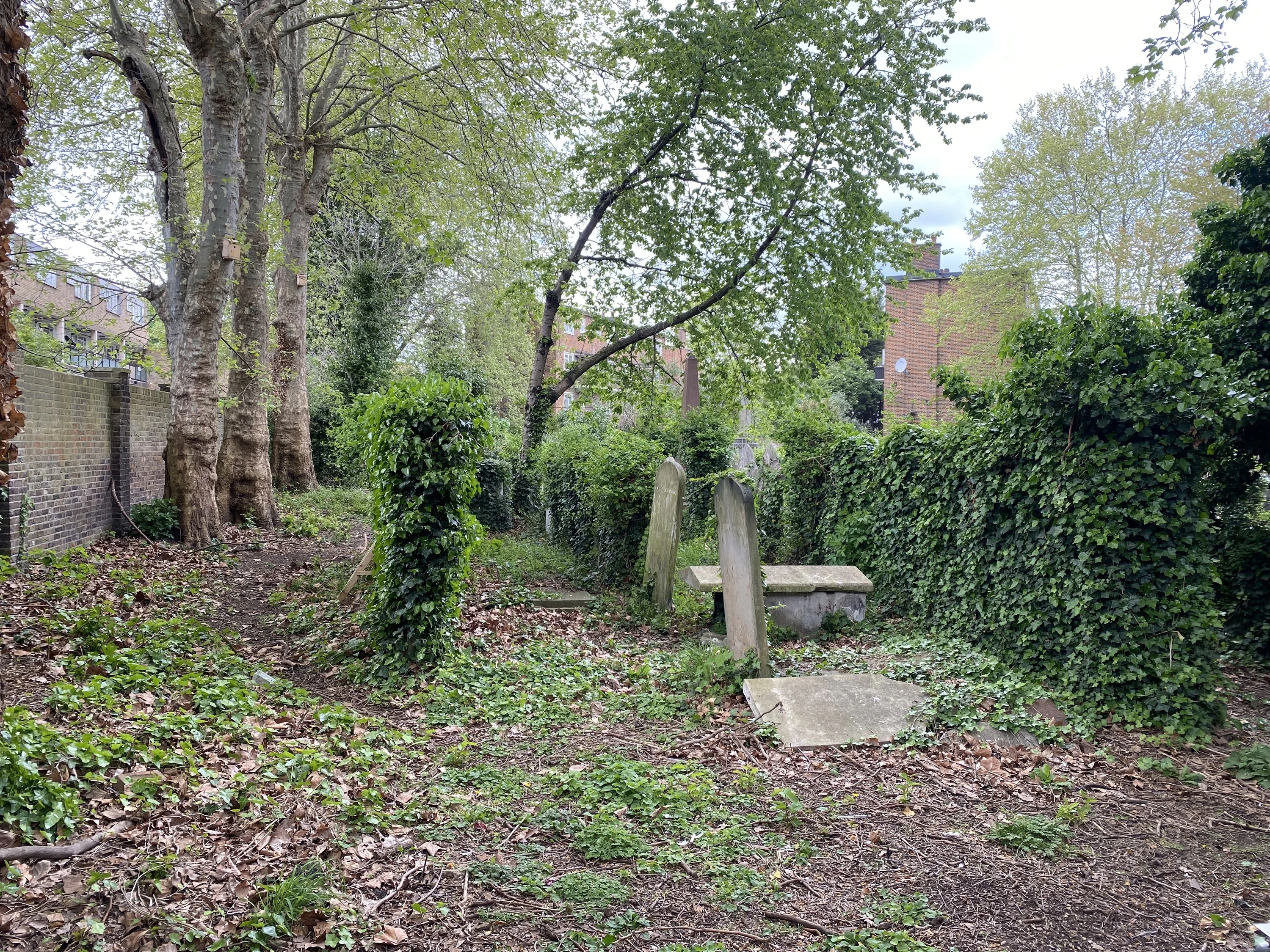 Overgrown Jewish Burial Ground on Balls Pond Road 