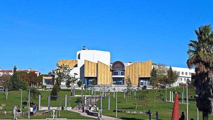 A Liberdade vive em cada escolha