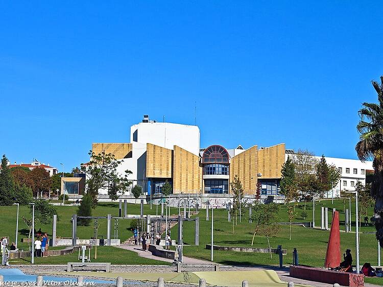 A Liberdade vive em cada escolha