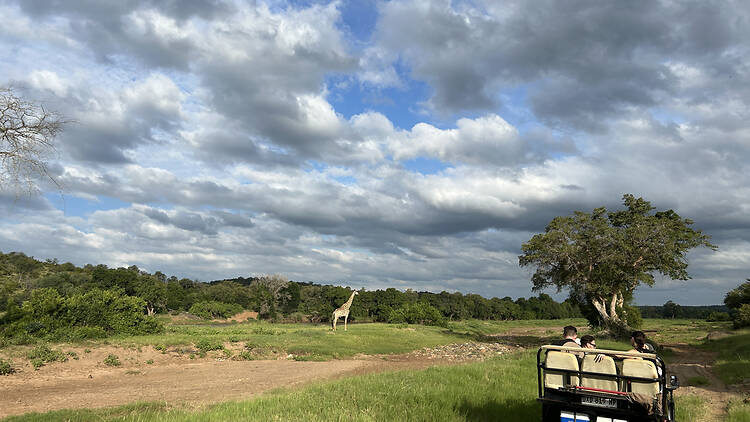 Kruger and Hoedspruit