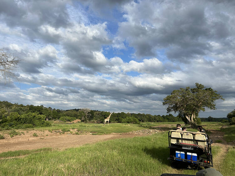 Kruger and Hoedspruit