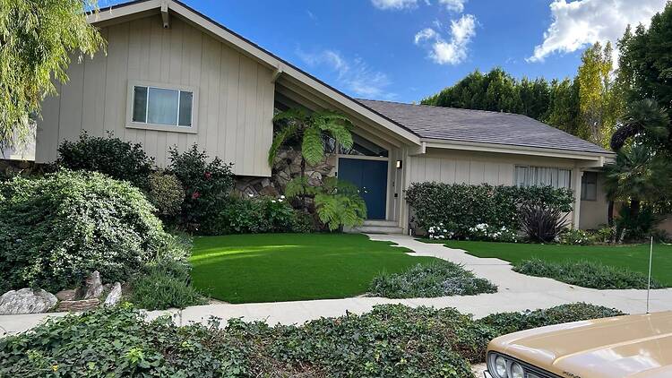 The Brady Experience