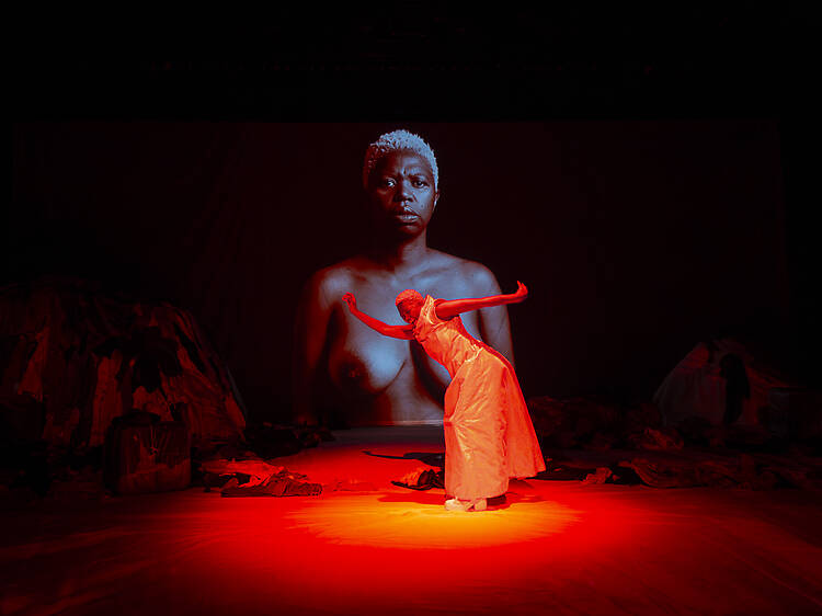 'Wasted land', de Ntando Cele