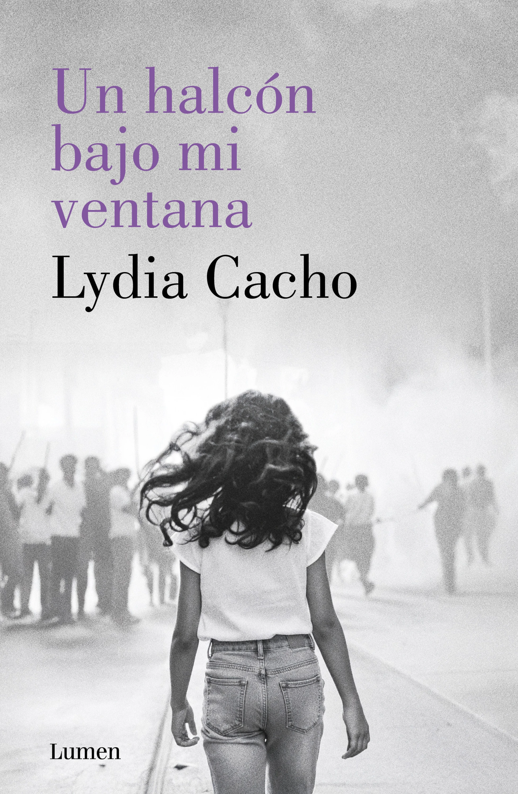 Libros del mes Un halcon en mi ventana 