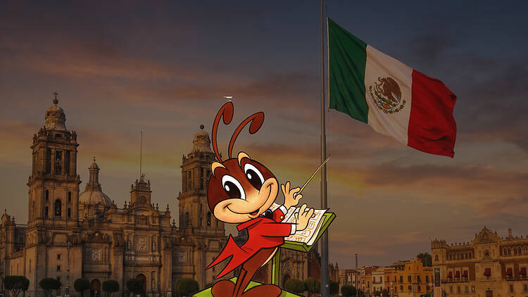 Concierto cri cri gratis