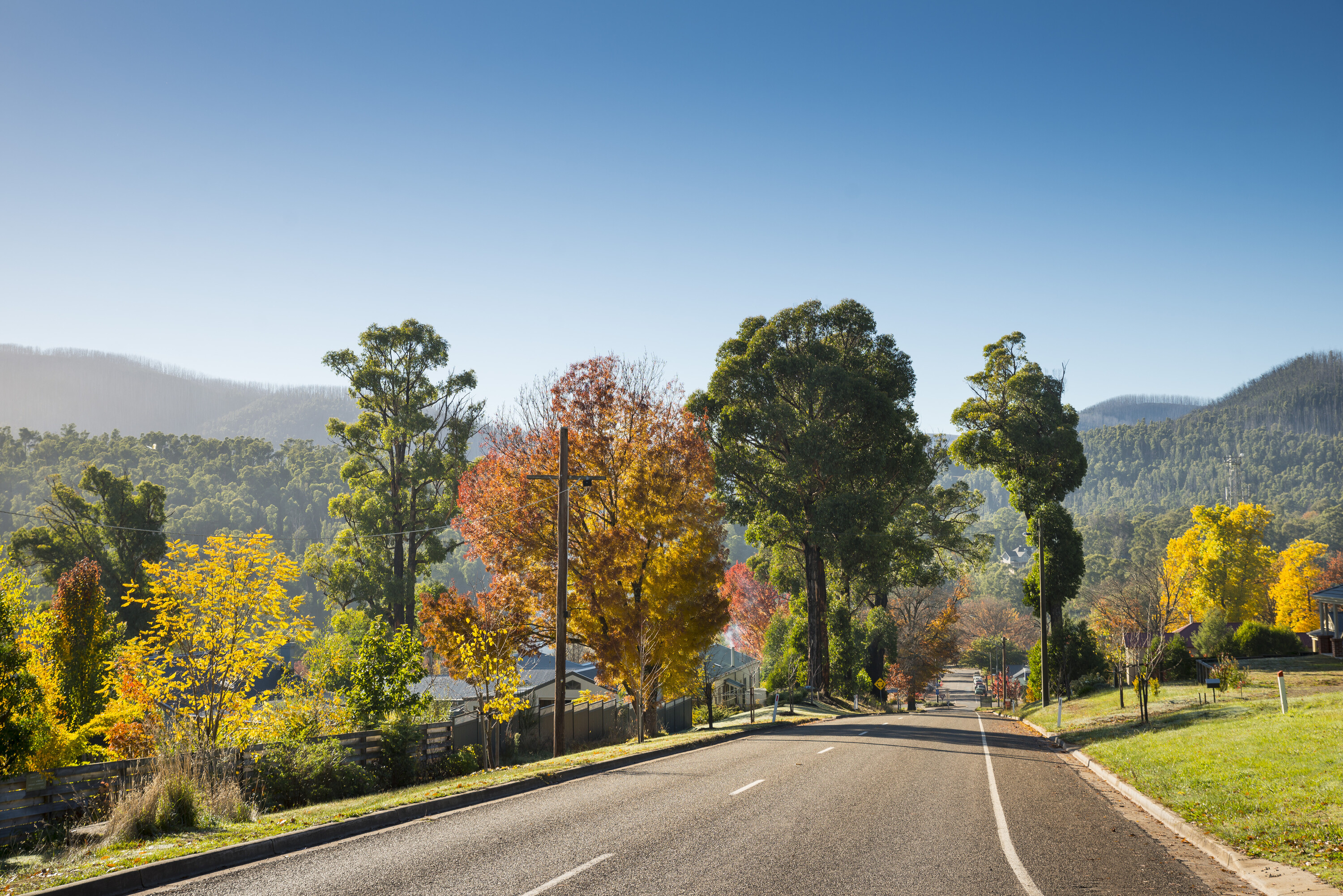 REVEALED: These are the best wine destinations in Victoria to visit this autumn