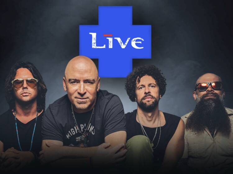 Lightning set to crash at Kirstenbosch this December