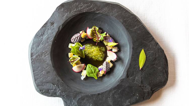 Theodor Falser  x  Cucina