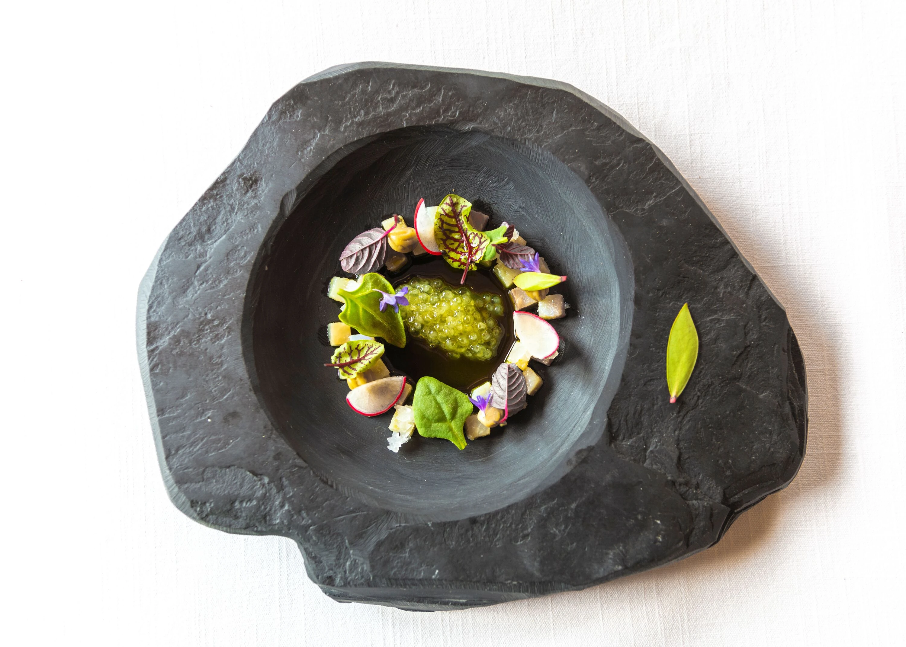 Theodor Falser  x  Cucina