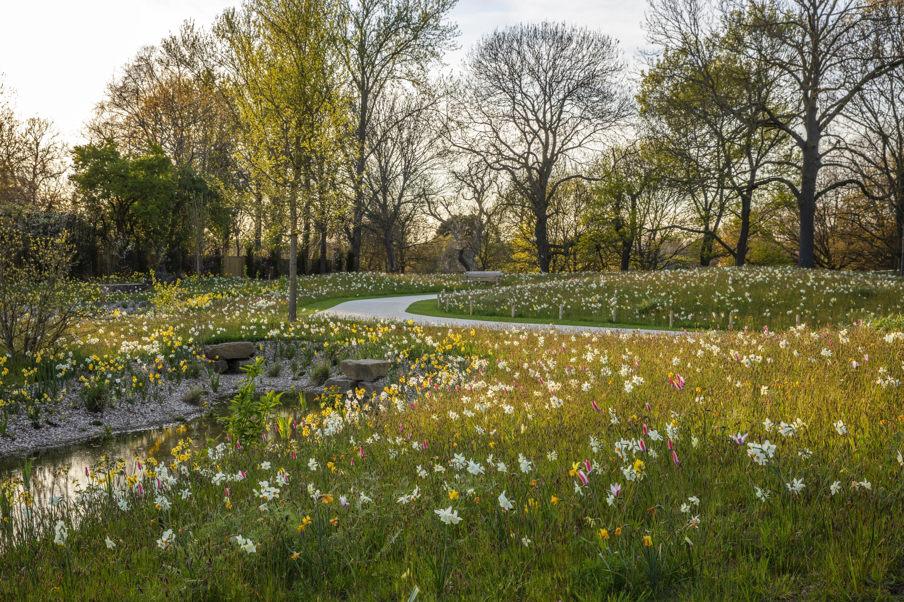 Queen Elizabeth II Garden, Regent&rsquo;s Park, London