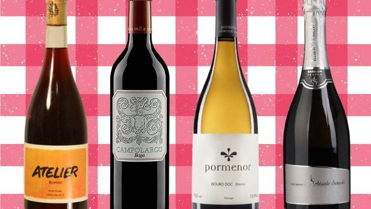 Pizza e vinho: quando a química fica séria