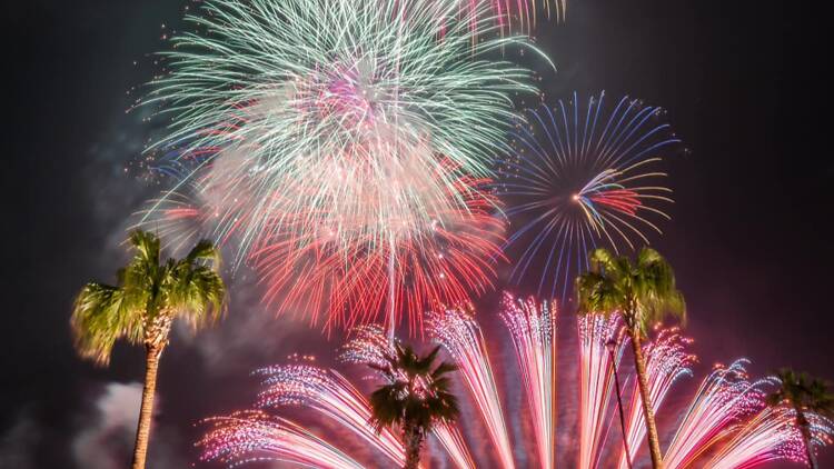 Rinku Fireworks Festival