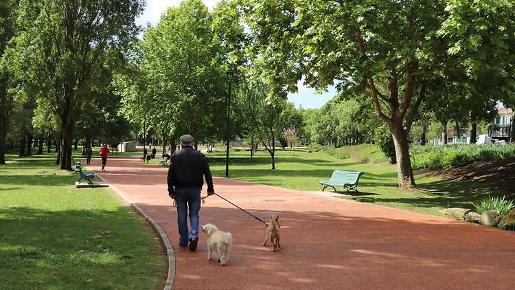 Parque Urbano Felício Loureiro