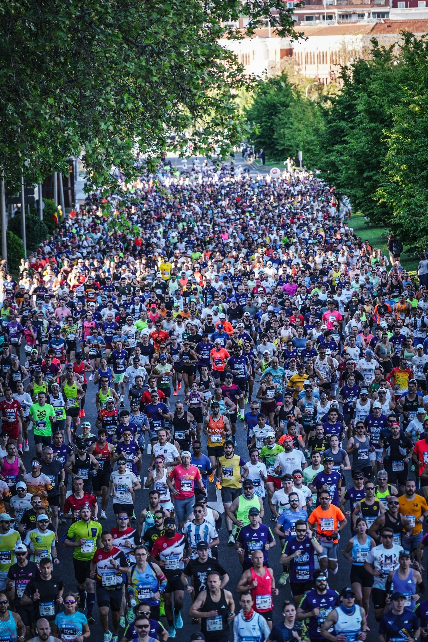 Zurich Rock 'n' Roll Running Series Madrid. Luis M. Sanchez de la Maza