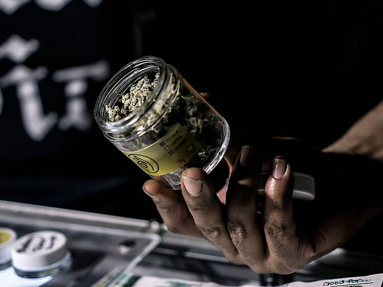 Trump just eased restrictions on marijuana on a national level—here is what that actually means