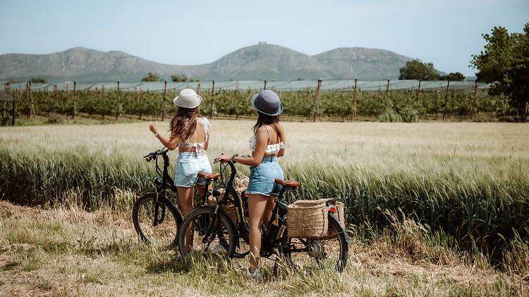 Passejar entre arrossars al Baix Empordà