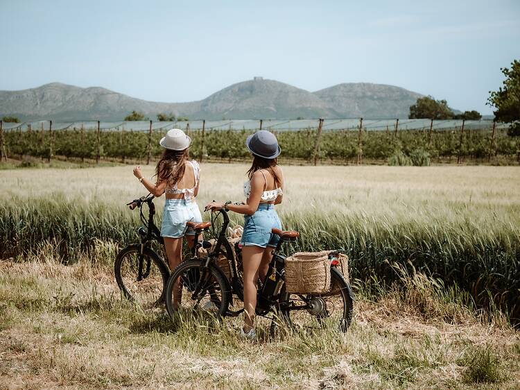 Passejar entre arrossars al Baix Empordà