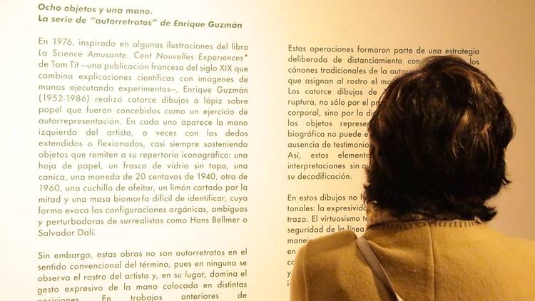 El virtuosismo técnico de Enrique Guzmán Museo del Estanquillo