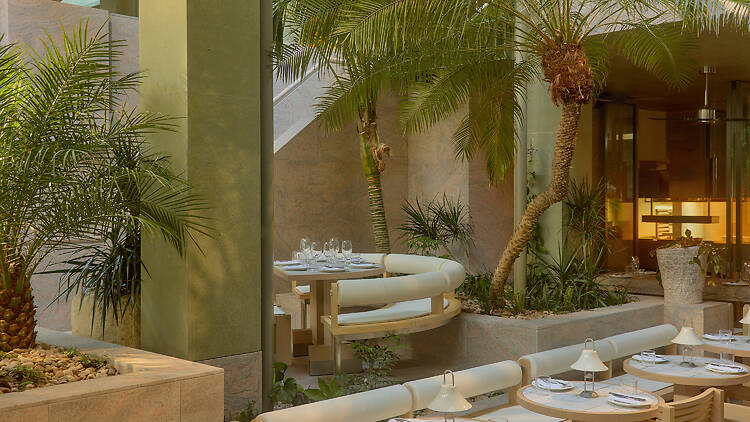 Dining room with palm trees