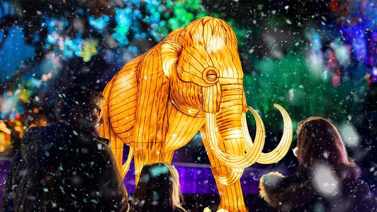 Illuminated elephant
