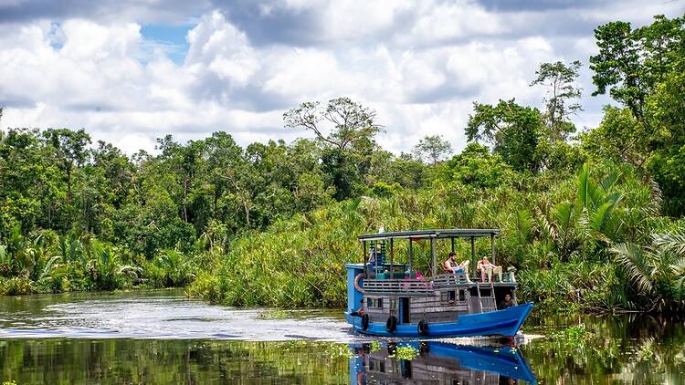 Best for wildlife and river cruising: Tanjung Puting National Park