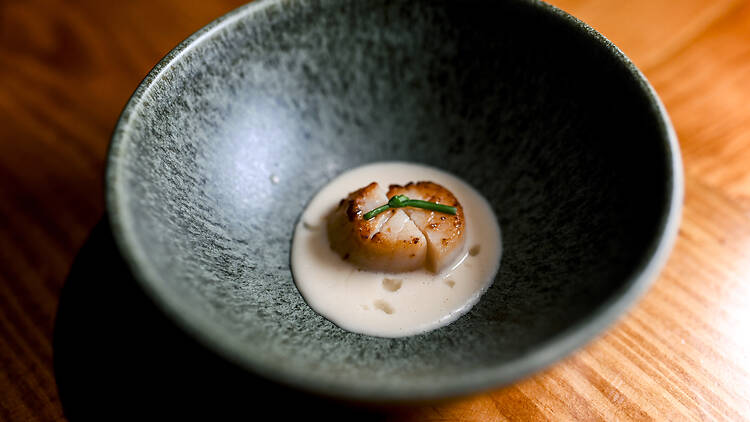 Zō Omakase