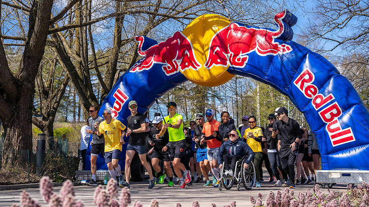 10.5. Wings for Life World Run, Töölönlahti