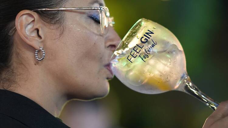 Feel Gin Festival
