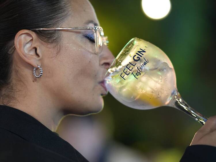 Feel Gin Festival