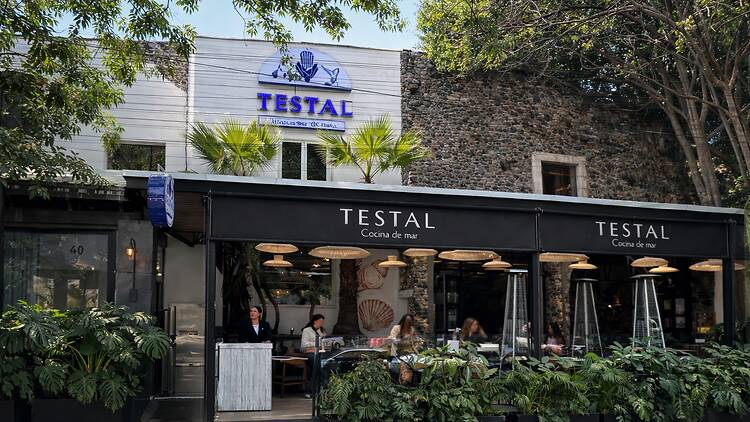 Testal de Mar