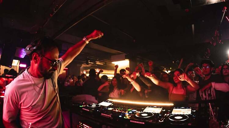 The Polygon Project | Immersive Music Fest