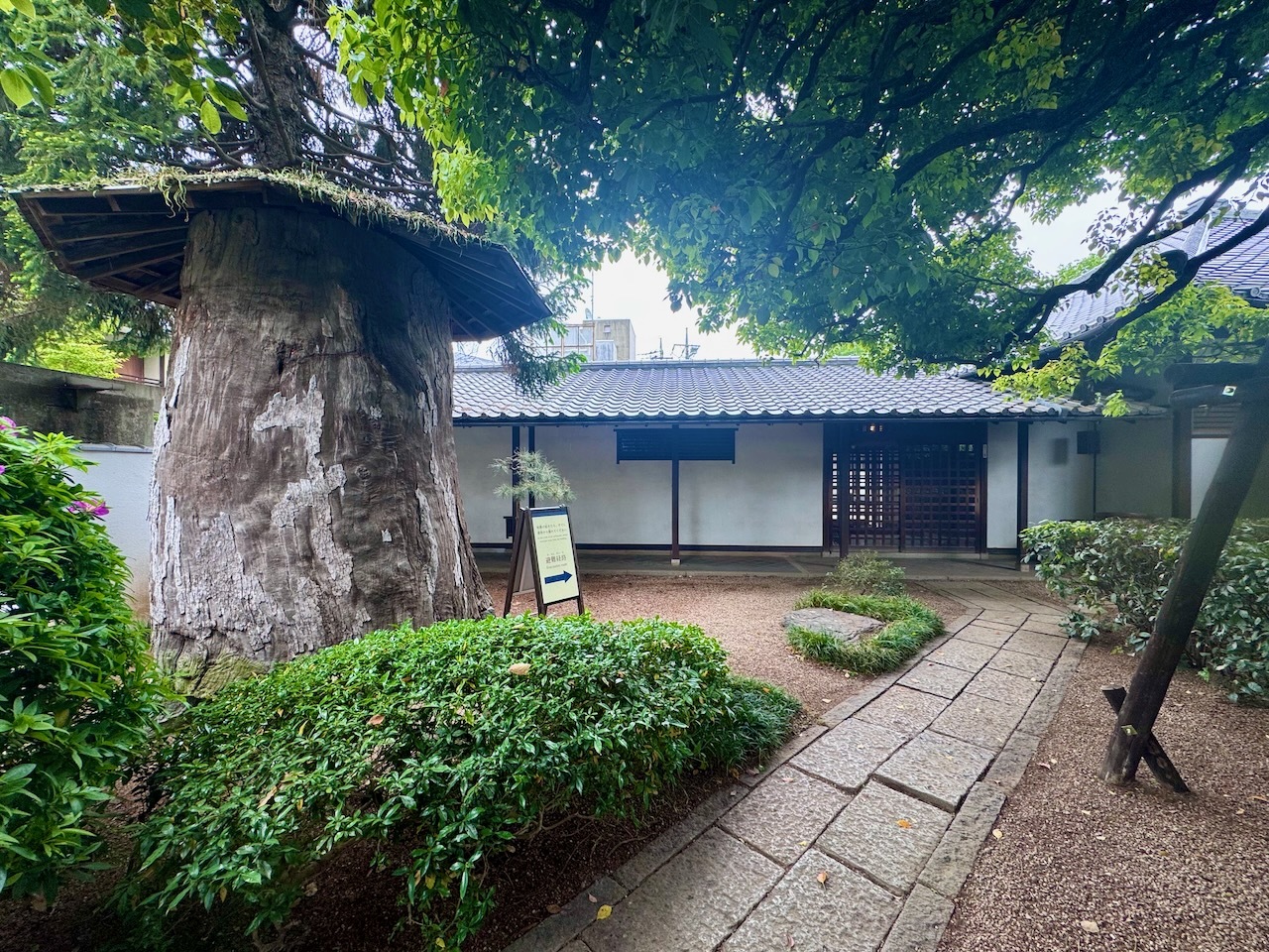 小平の名建築「九十八叟院」6年ぶりに一般公開、国立能楽堂など手がけ
