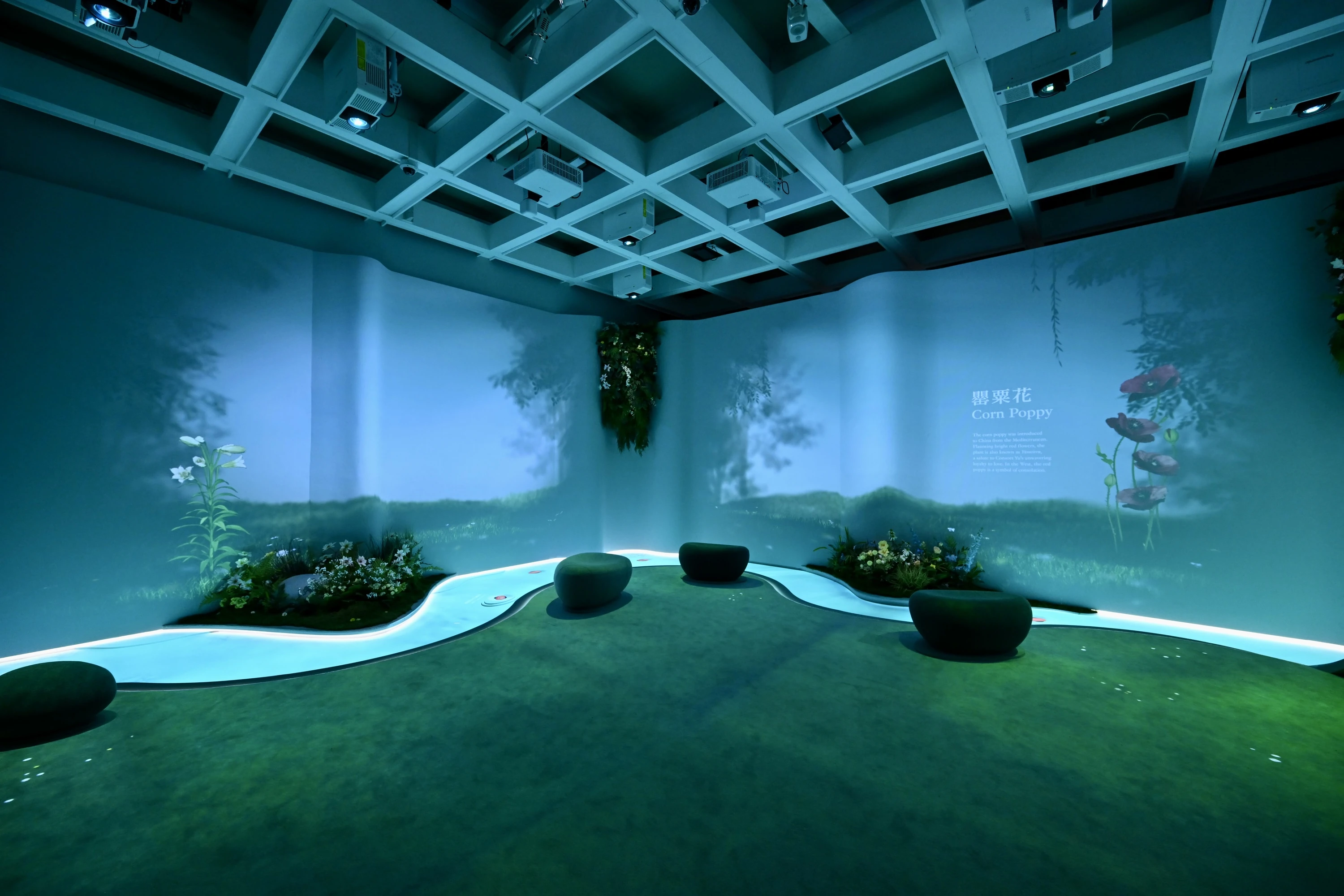 Blooming: The Art of Gardens in East and West