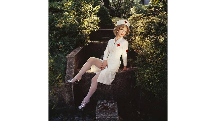 別館―もうひとつの「驚異の部屋の私たち」