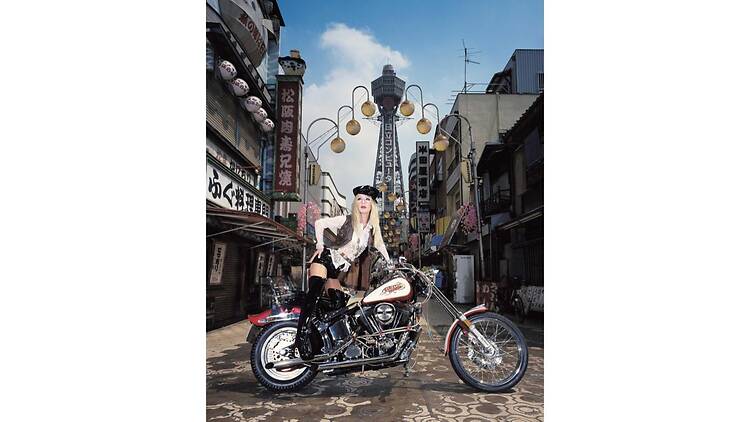 別館―もうひとつの「驚異の部屋の私たち」