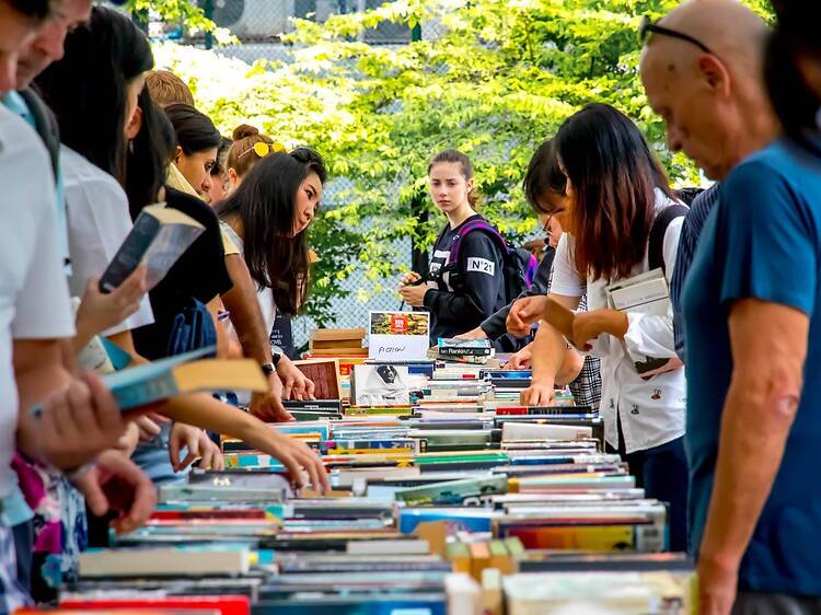 Rifle through shelves of secondhand novels and rare prints at Neilson Hays Library's beloved annual book sale