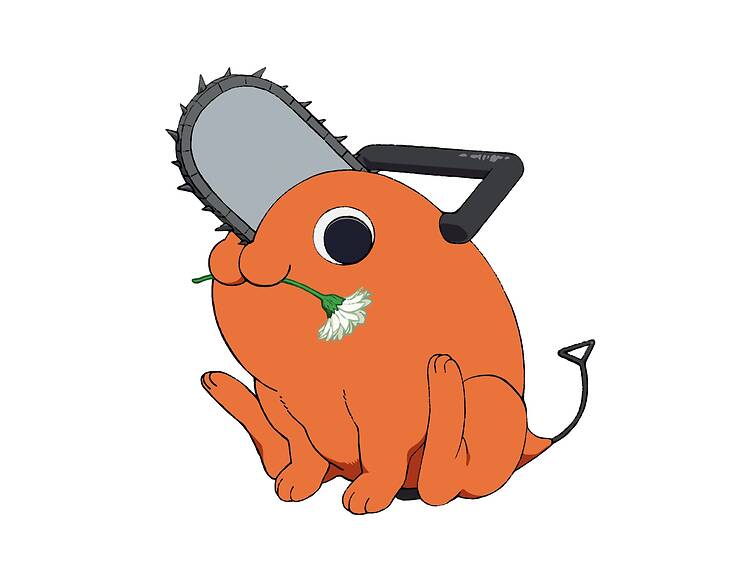 ポチタ