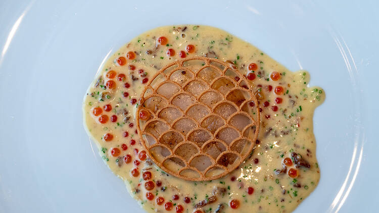 kampasimpucca carpaccio kastikkeessa ravintolassa Demo