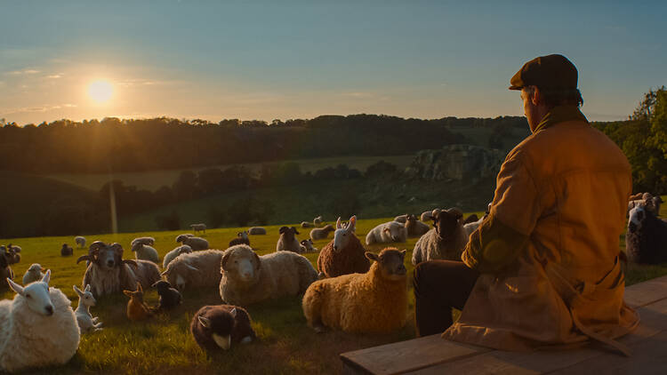 THE SHEEP DETECTIVES