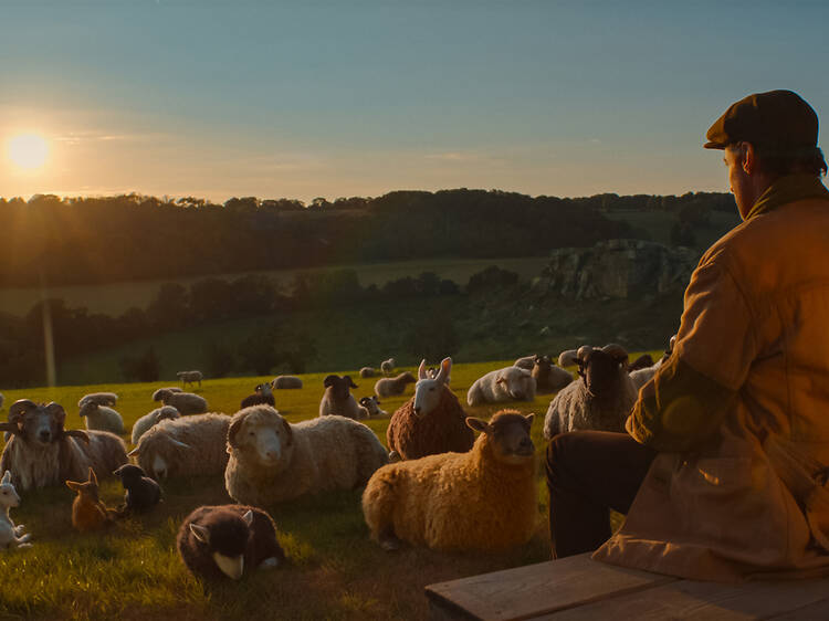 The Sheep Detectives