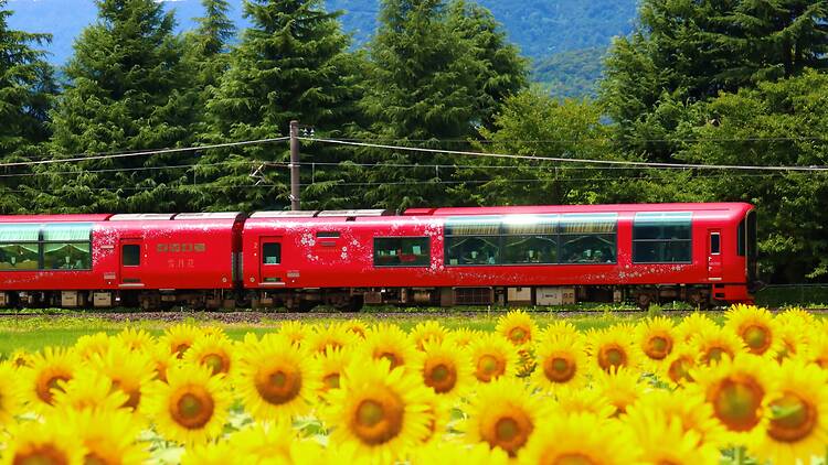 7 of the best sightseeing trains in Japan