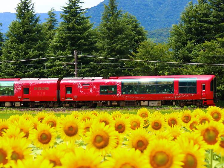 7 of the best sightseeing trains in Japan