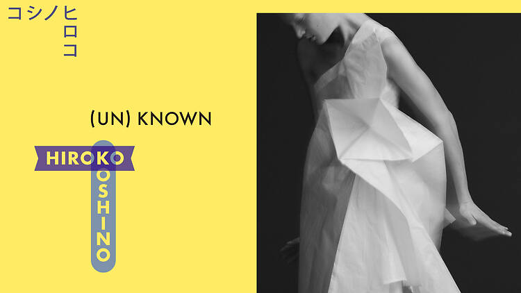 (UN)KNOWN HIROKO KOSHINO―新説/真説 コシノヒロコ―