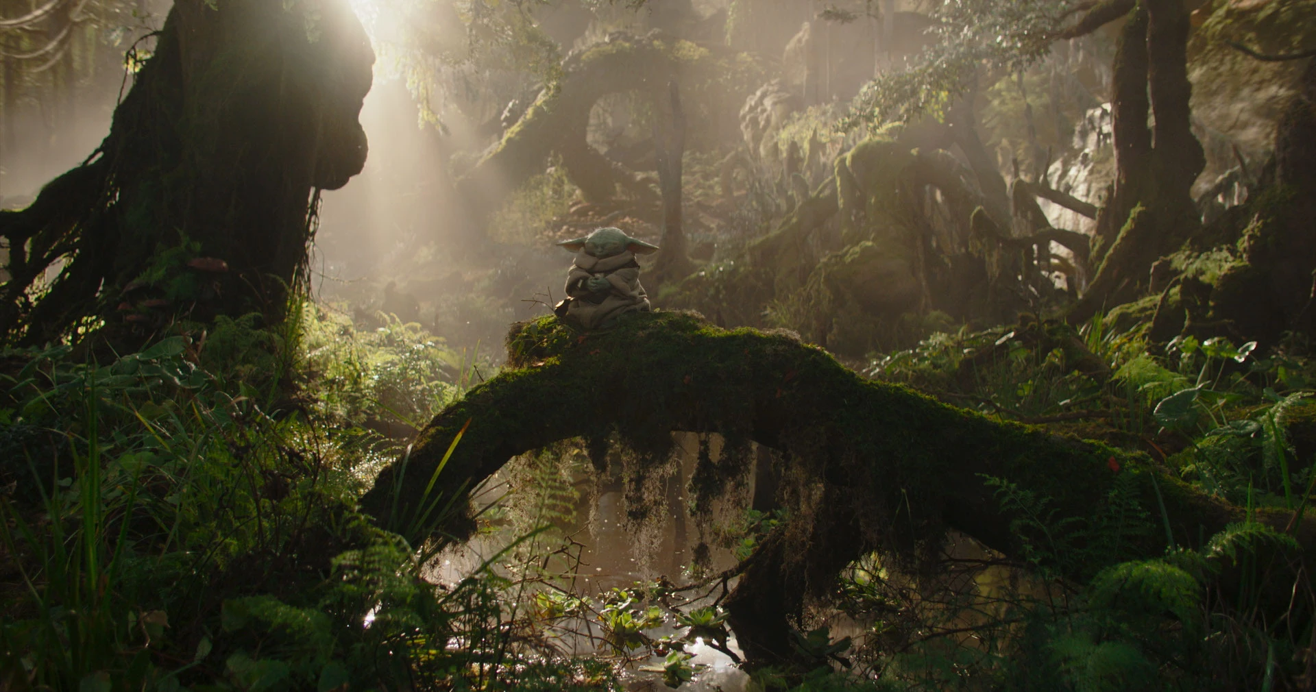 Star Wars: Mandalorian e Grogu