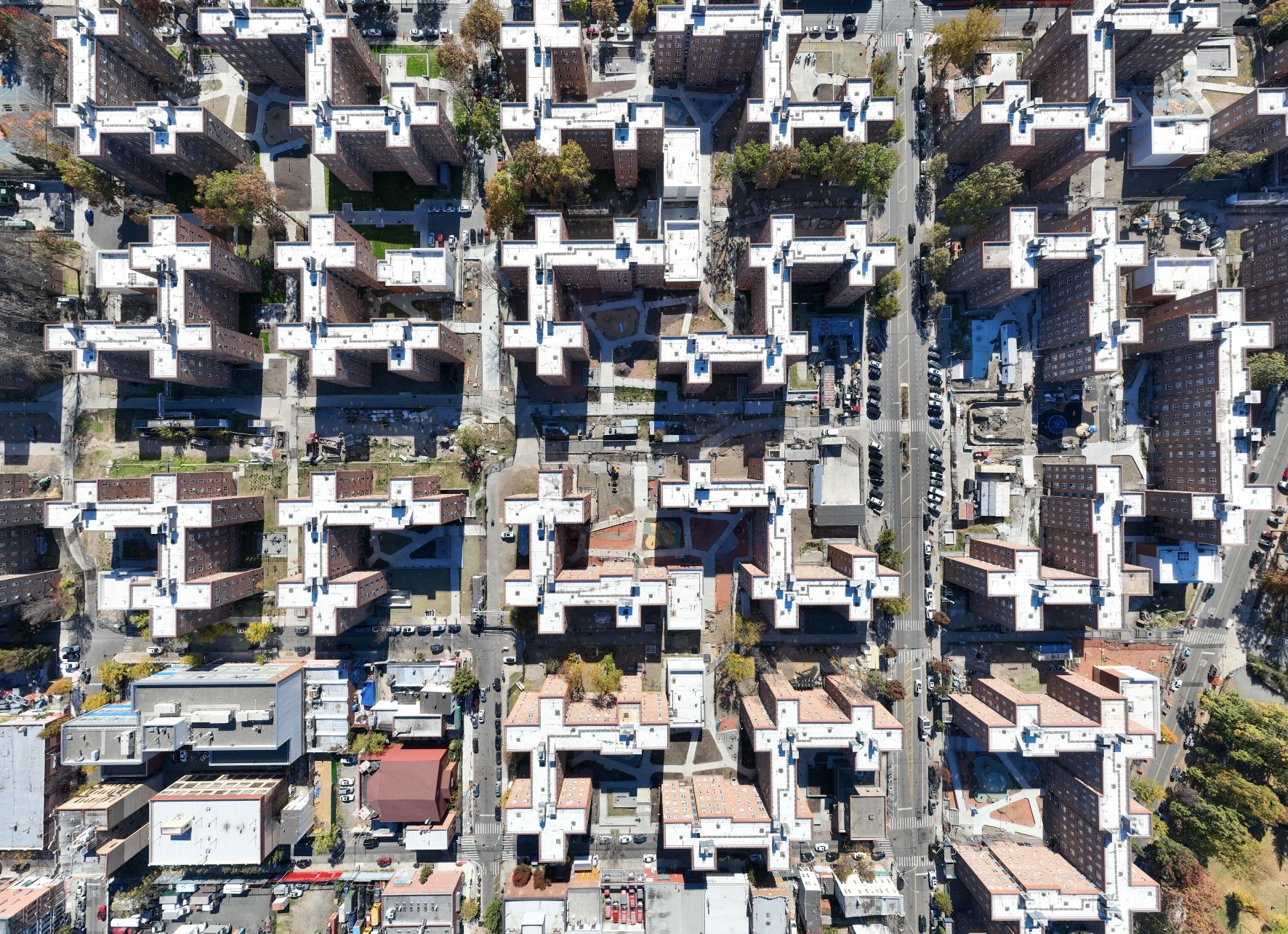 NYC plans to unveil a massive 'urban forest' to cool the city down