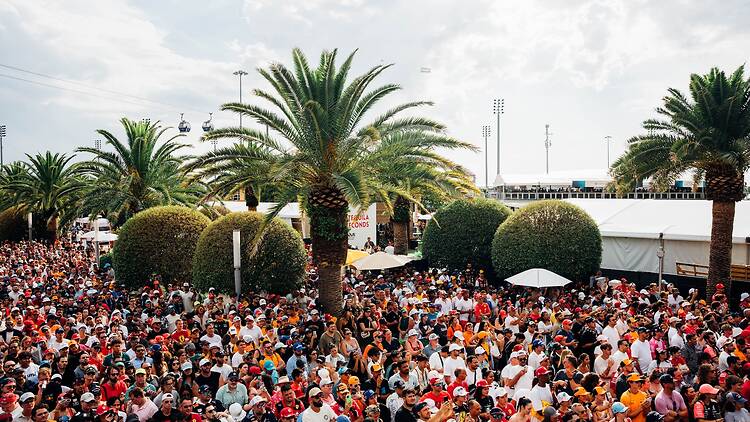 Fan Fest at Lummus Park